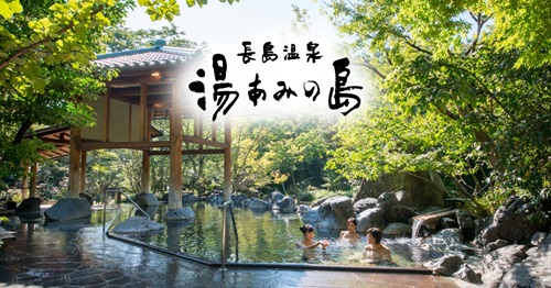 湯あみの島 入館券